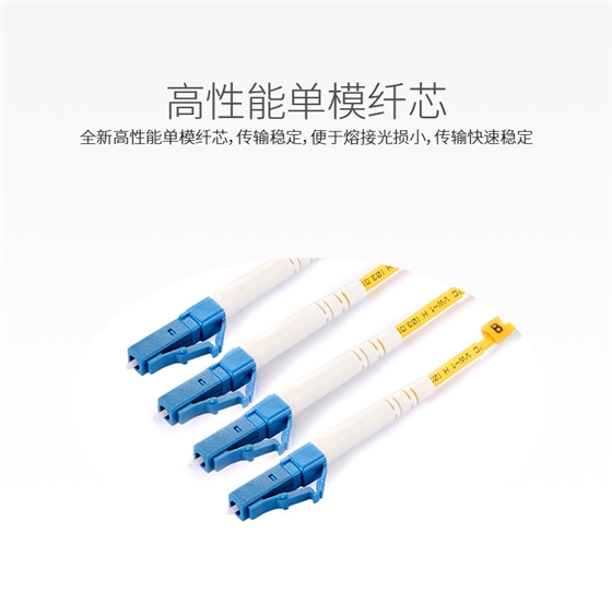 FSC-107_05.jpg FSC-107_05.jpg