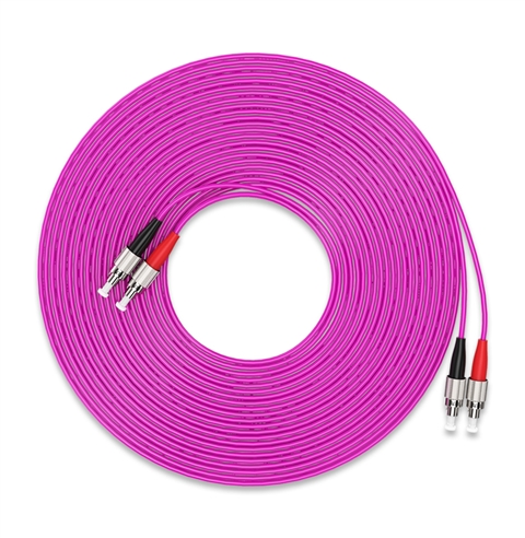 胜为FFFO-2030工程电信级万兆光纤跳线 FC-FC 网线多模双芯OM4 网络收发器尾纤光纤连接线