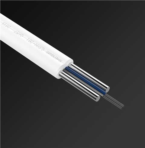 胜为 室内单模双芯 皮线光缆 白色