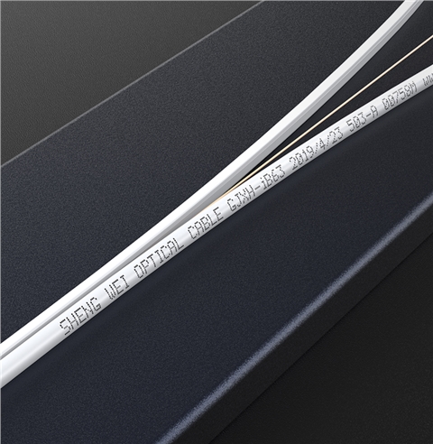 胜为 FSM-9050-I1室内皮线光缆单模单芯 1芯2钢丝高速传输抗拉抗拽易剥离芯径9/125