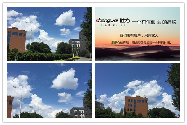 光纤跳线厂家胜为