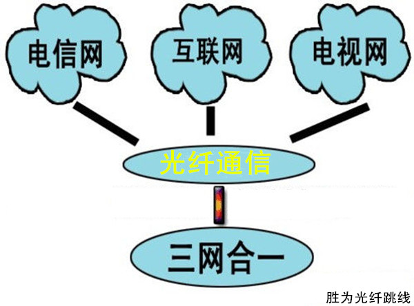 胜为光纤跳线