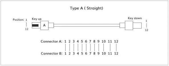 MPO光纤跳线——Type A（直通型）示意图