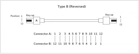 MPO光纤跳线——Type B交错型示意图