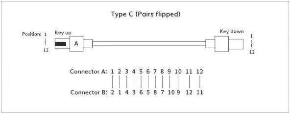 MPO光纤跳线——Type C成对交错型示意图