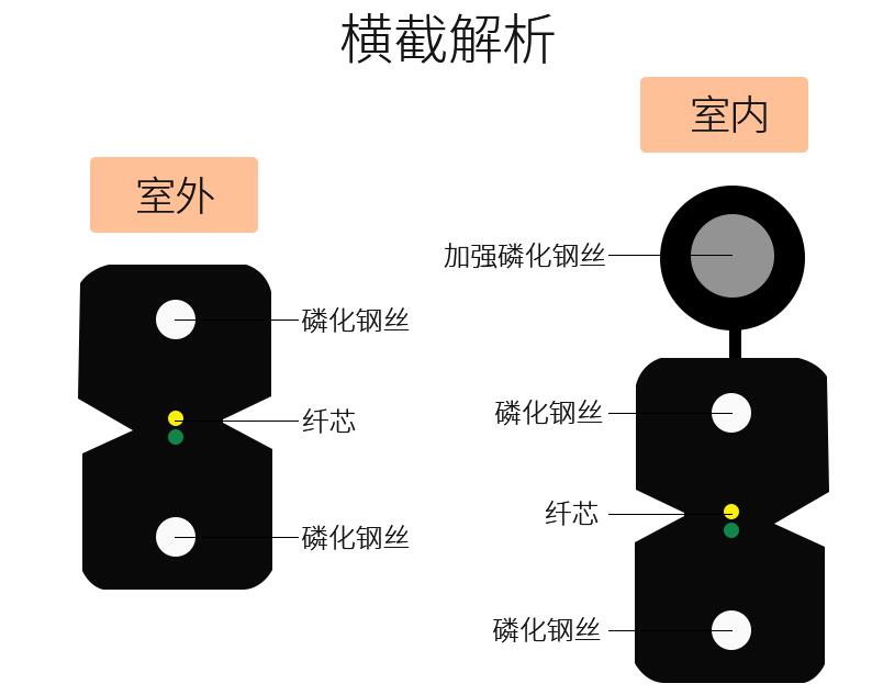 胜为室外室内皮线光纤光缆横截解析对比图